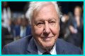 David Attenborough Net Worth, Age, Height, Bio, Birthday, Wiki!