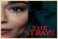 “The Strays” Is Set To Released On Netflix