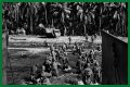 WWII's Most Daring Raids - Smithsonian Channel